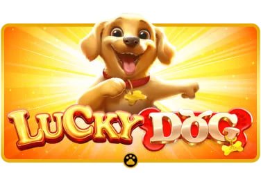 OLK777 bingo online seru dan interaktif untuk pemain Indonesia
